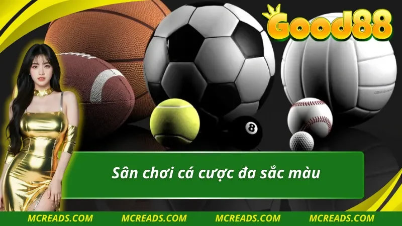 Đa dạng các bộ môn thể thao của CMD Thể Thao