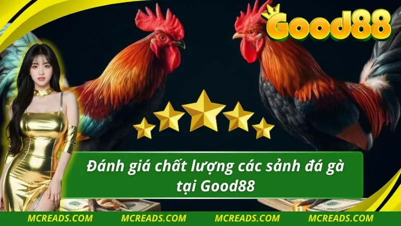 Đánh giá tiềm năng của các sảnh Đá gà Good88