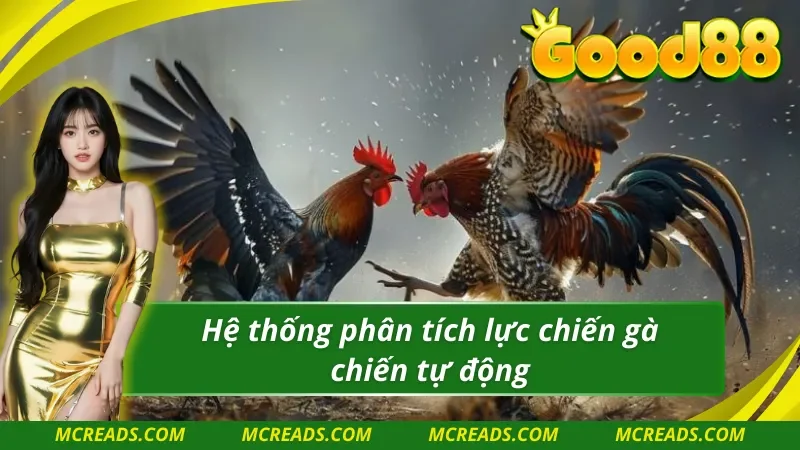 Ws168 đá gà có hỗ trợ hệ thống phân tích chiến lược rõ ràng 