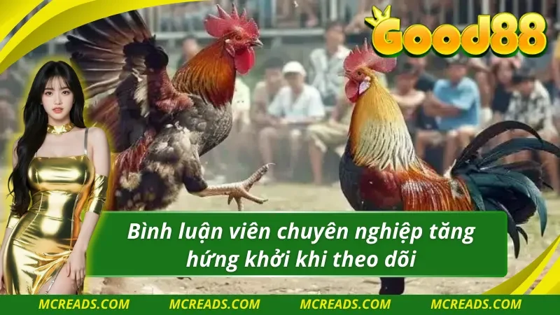 Ws168 đá gà đào tạo bình luận viên rất chuyên nghiệp 