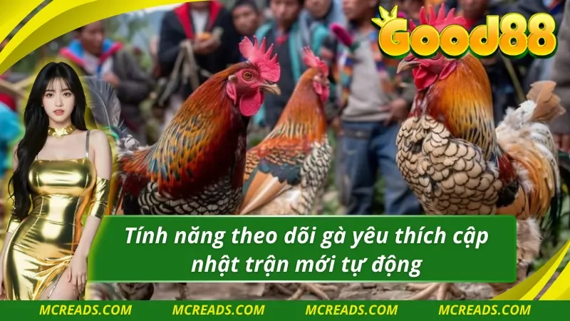 Ws168 đá gà hỗ trợ phục vụ hội viên cập nhật thông tin nhanh nhất 